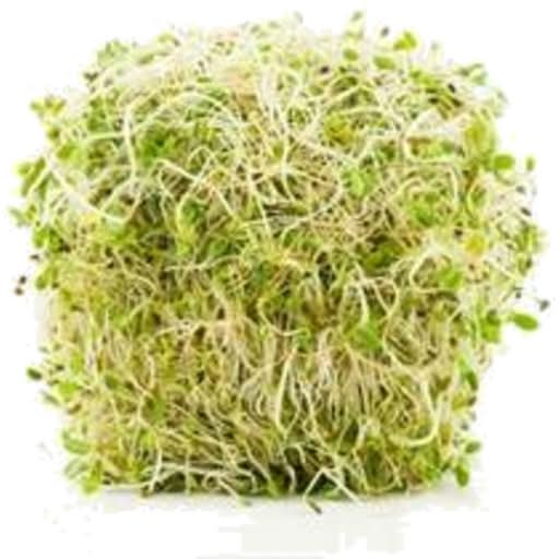 Flor de Alfalfa Fresh Sprouts (125g)