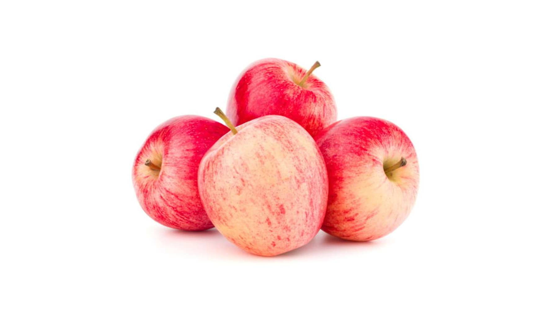 BIO Pomme bicolore bio La barquette de 4 fruits