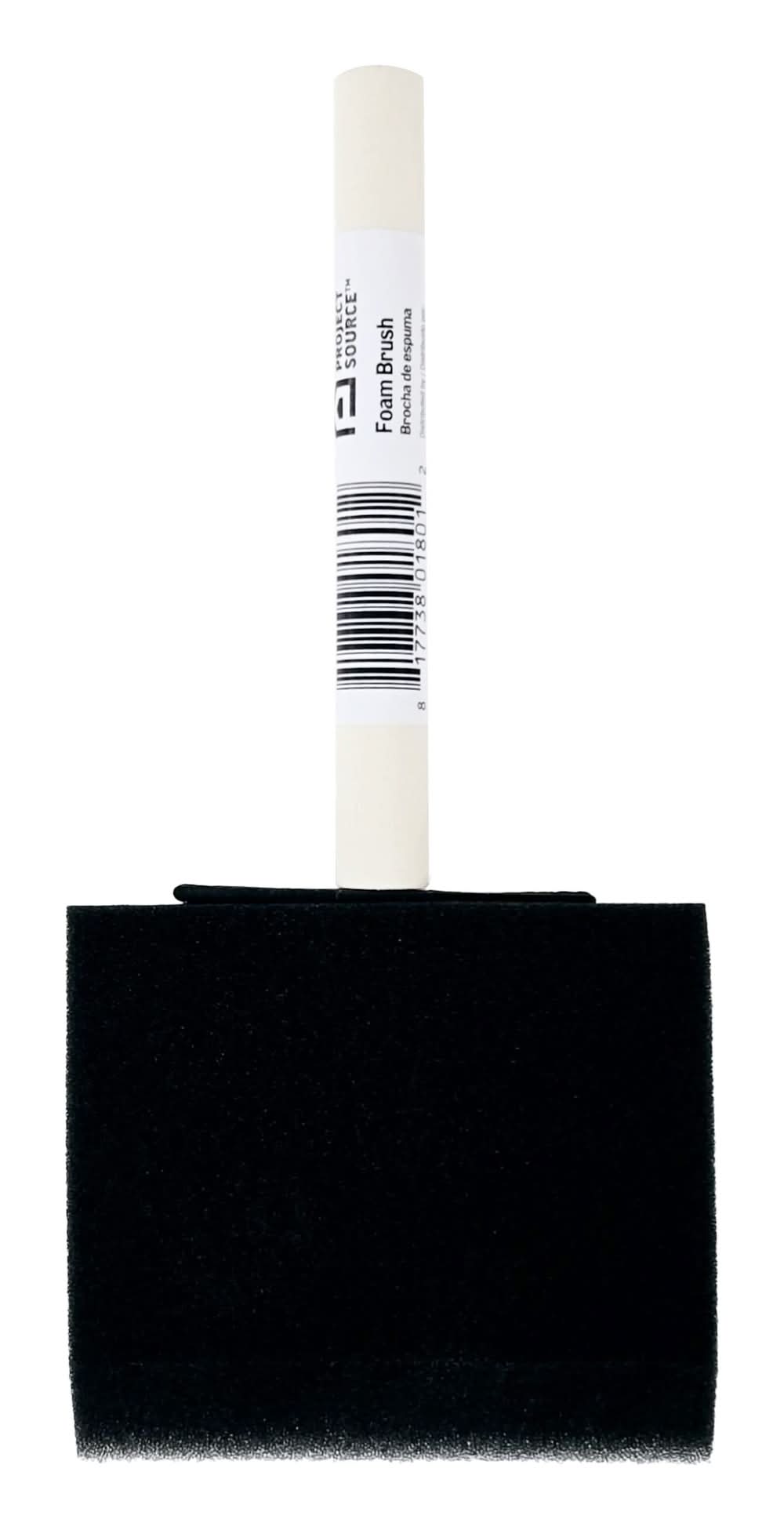 Project Source 3-in Flat Foam Brush