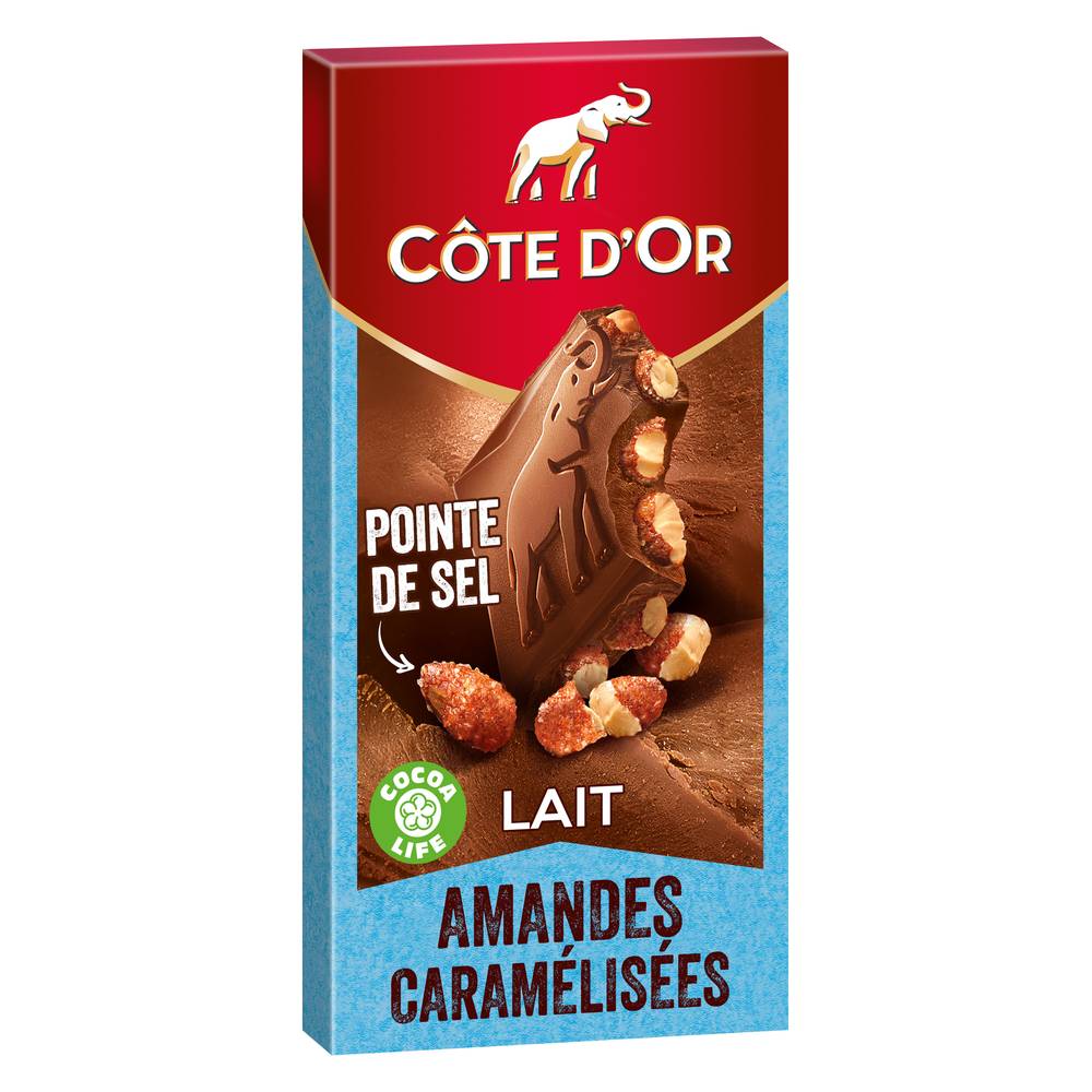 Côte D'or - Tablette de chocolat à la pointe de sel ( lait - amandes caramélisées )