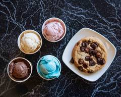 Rick's Rather Rich Ice Cream