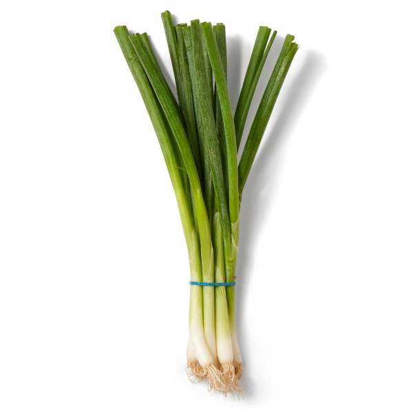 Scallion