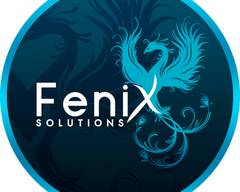 Fenix solutions - (Chicureo)