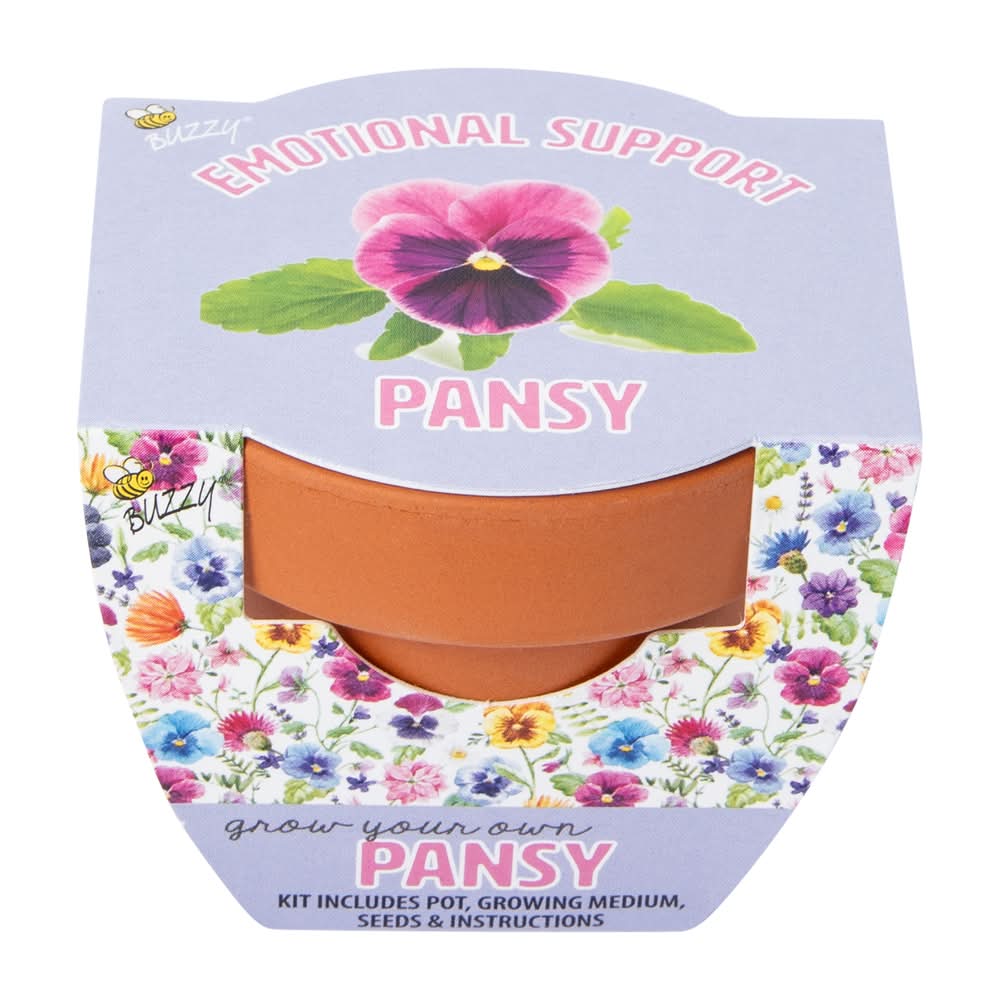Mini Grow Your Own Plant Pot Kit Pansy