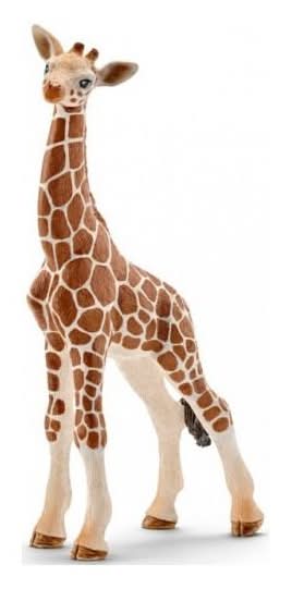 Girafa Cria
