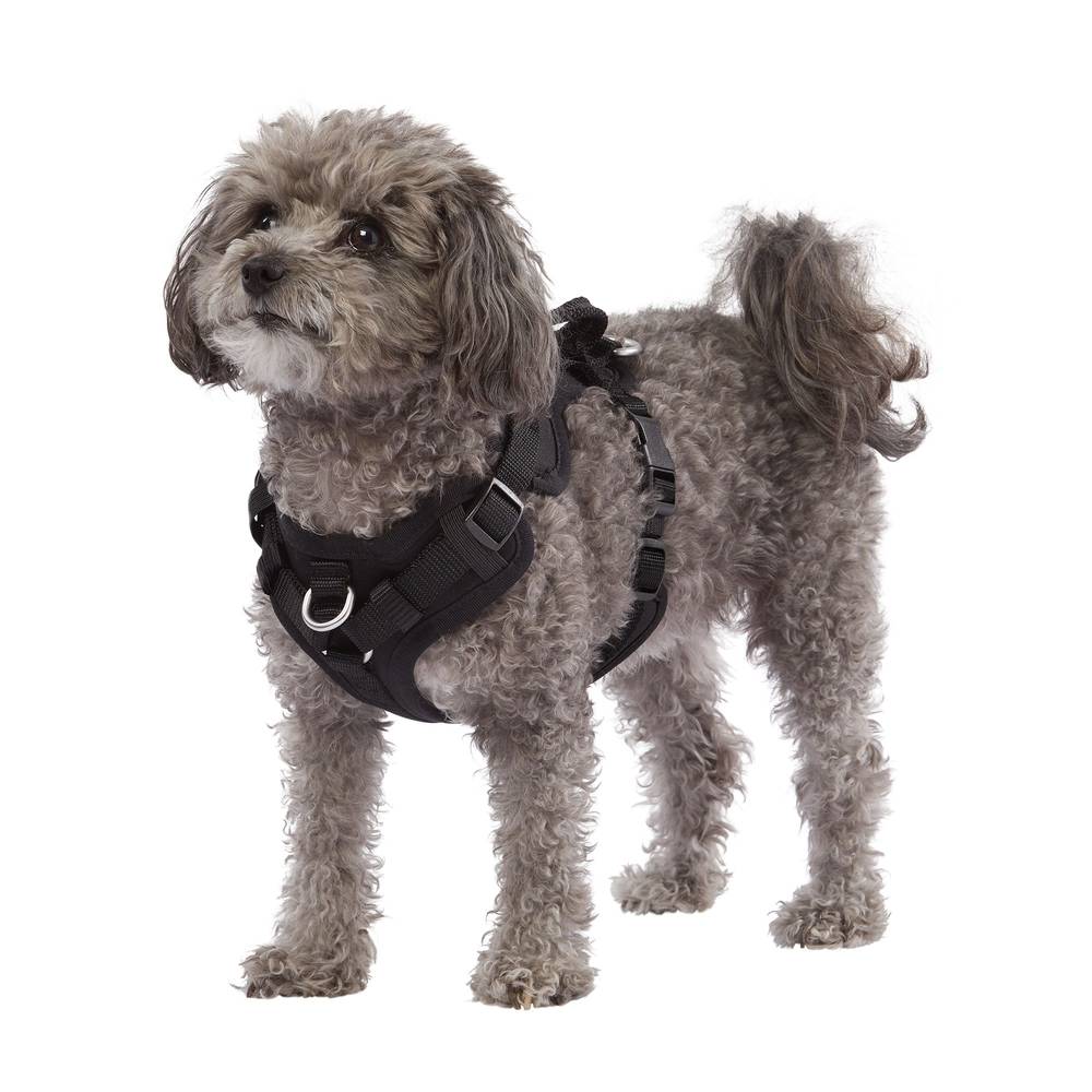 Top Paw® Neoprene Comfort Dog Harness (Color: Black, Size: 2X Small)
