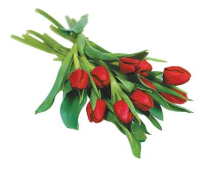 Tulips 10 Stem - Each (Colors May Vary)
