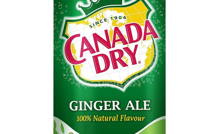 Ginger Ale(355ml)