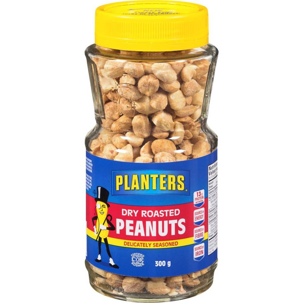 Planters Dry Roasted Peanuts, Seasoned (300 g)