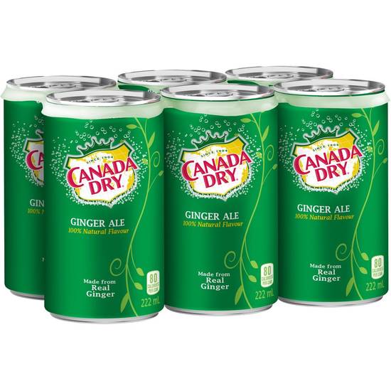 Canada dry soda gingembre canada drymd - emballage de 6mini-canettes de  222ml (6 x 222 ml) - ginger ale (6 x 222 ml)