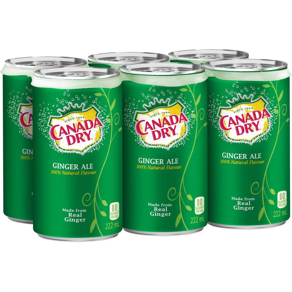 Canada dry soda gingembre (6 pièces, 222 ml)