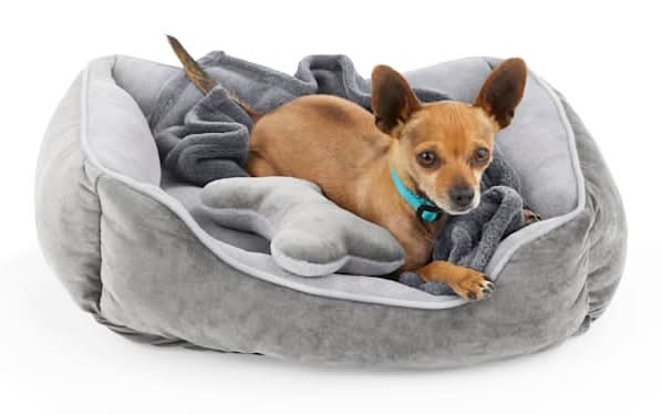 EveryYay Essentials Dog Bed Bundle, S, Gray