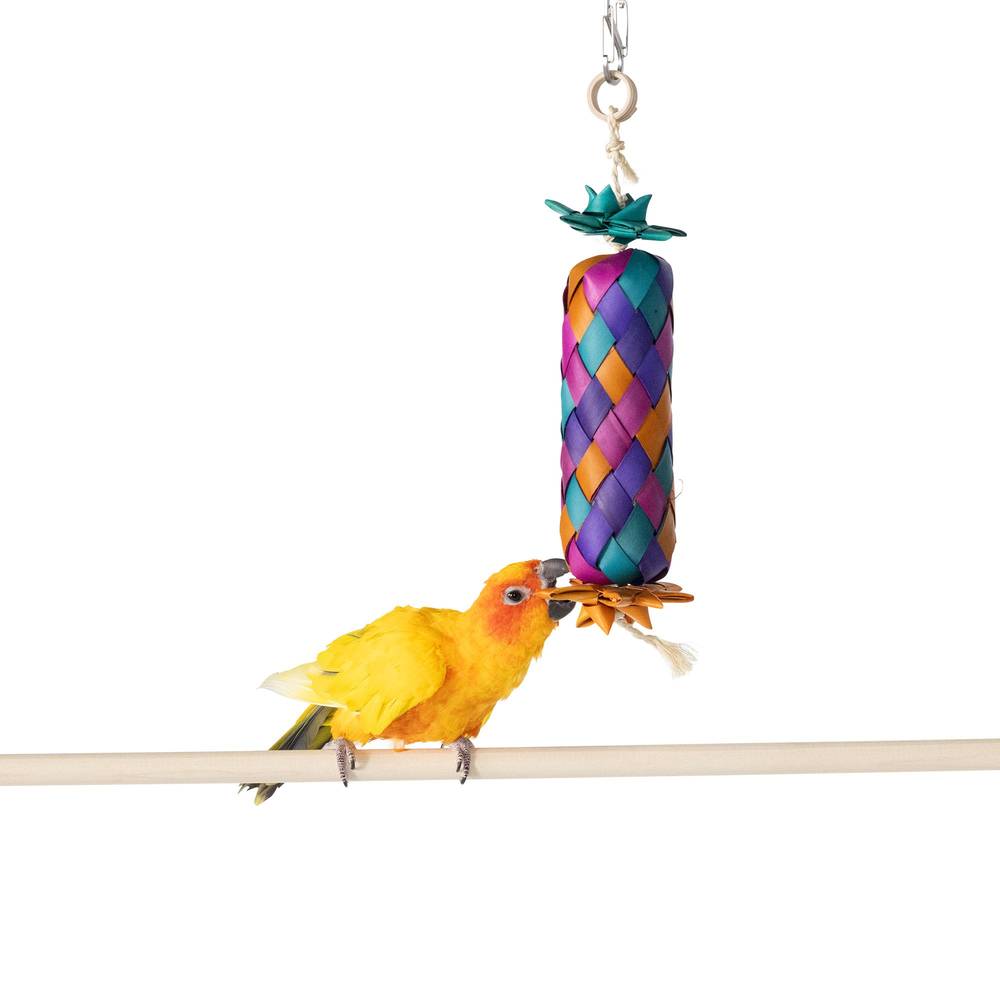 All Living Things® Palm Leaf Starfruit Bird Toy