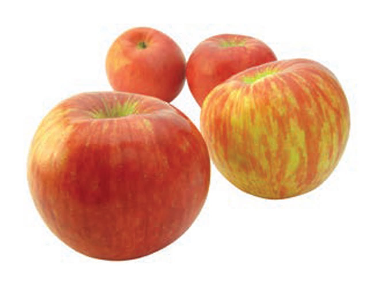 Honeycrisp Apples -3lb