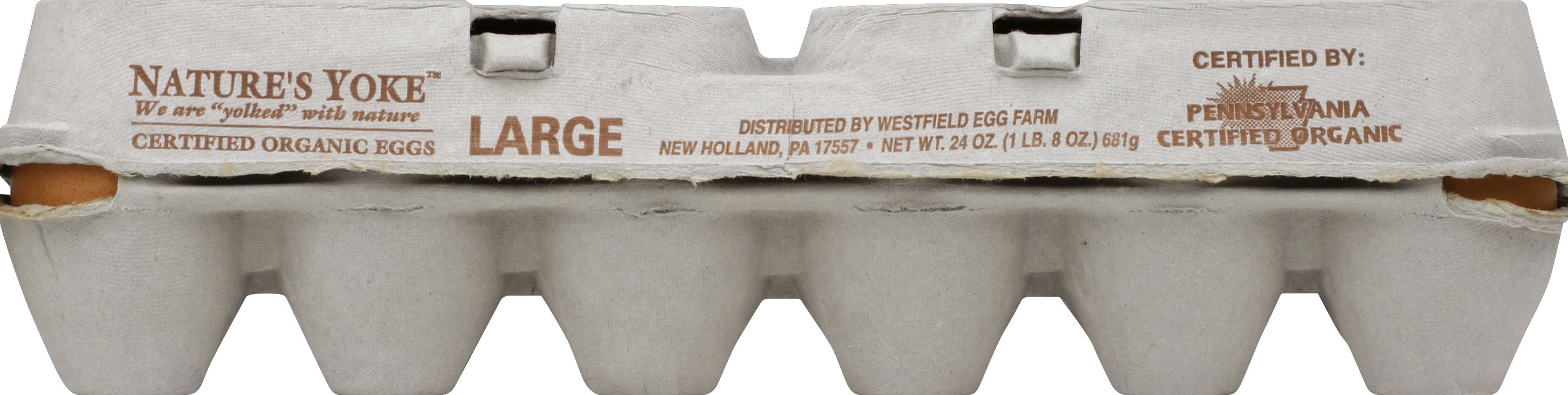 Nature's Yoke Organic Eggs, Large (24 oz, 12 ct)