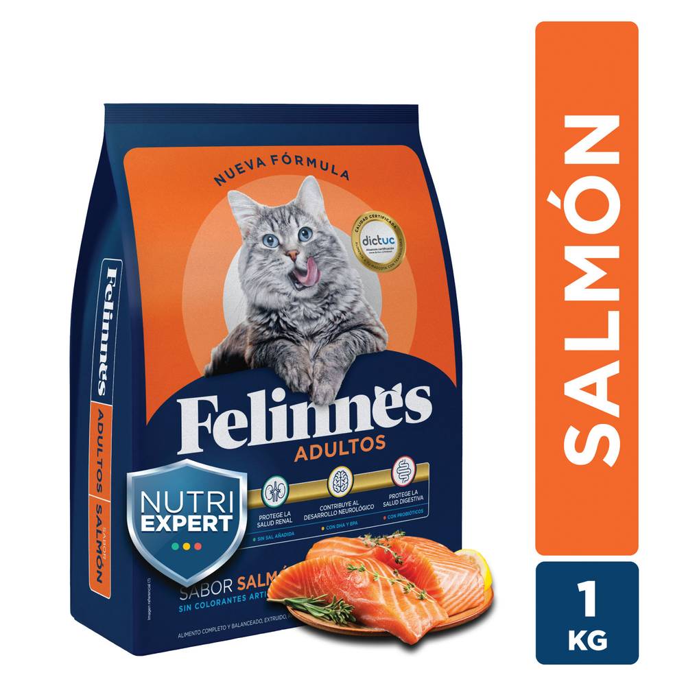 Felinnes alimento gato adulto sabor salmón (bolsa 1 kg)