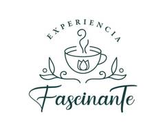 FascinanTé (Santiago)