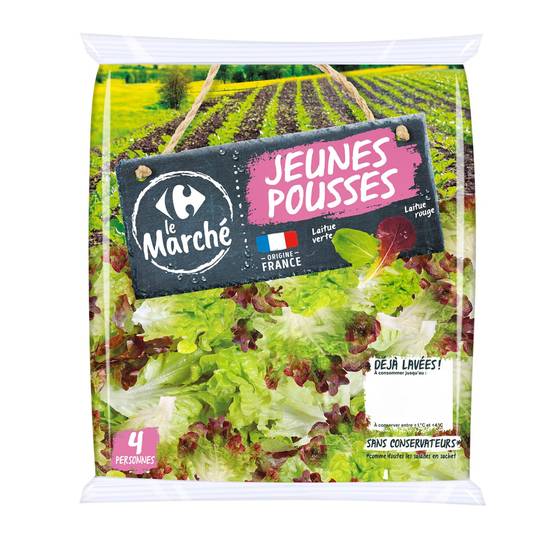 Carrefour Le Marché - Salade jeunes pousses
