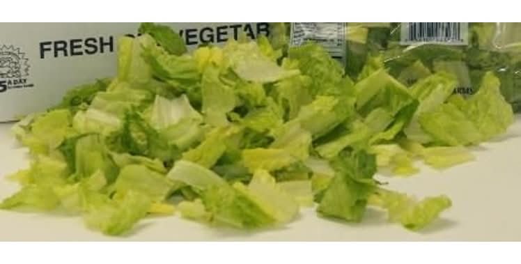 Chopped Fresh Romaine Lettuce (6 ct)