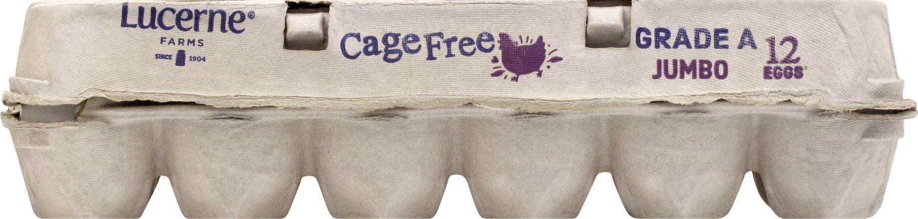 Lucerne Cage Free Jumbo Grade a Eggs (12 ct)