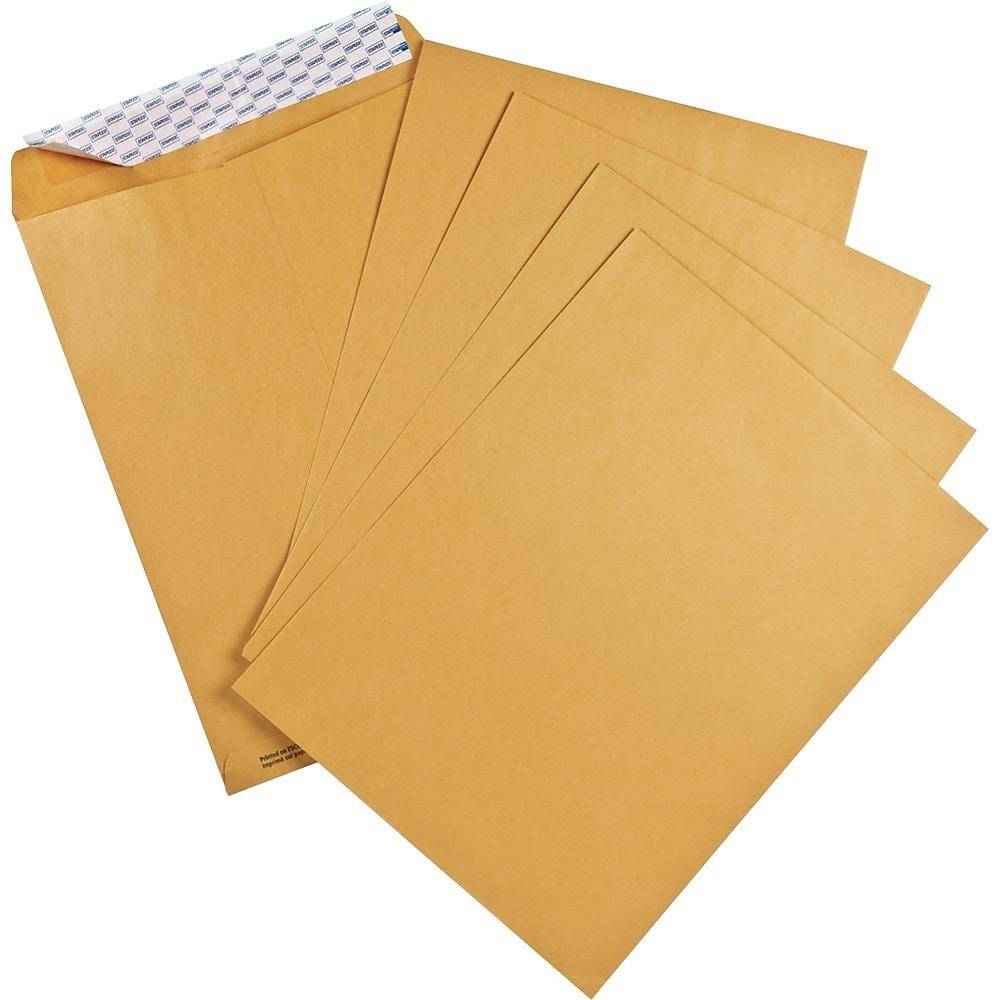 Staples Ue Envelopes With Quickstrip, 9" X 12", Kraft,