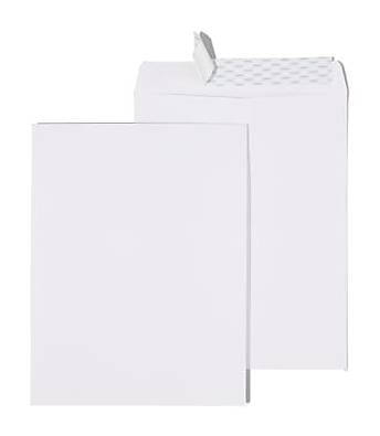 Staples Self Seal #13 Catalog Envelope, 10 x 13, White, 12/Pack (50293T-CC)