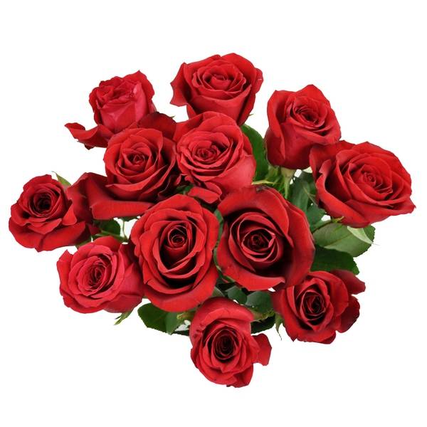 Rose Bunch (12 ct) (Red)