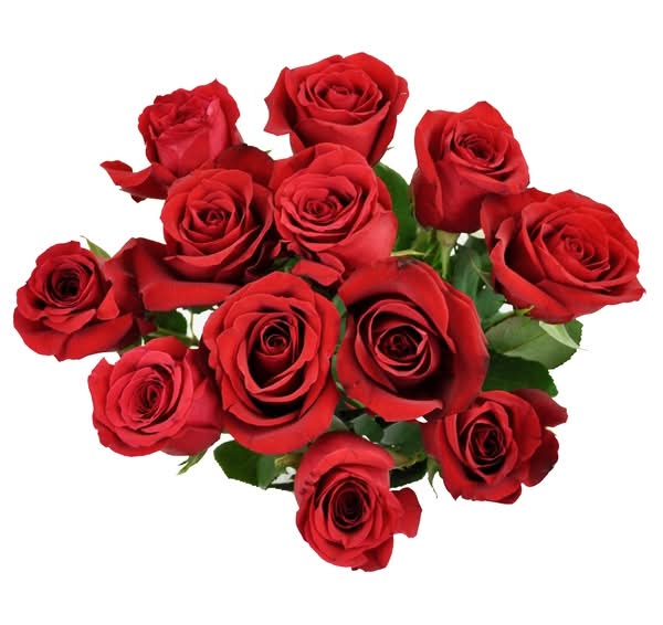 Rose Bunch (12 ct) (Red)