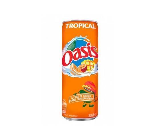 Oasis tropical