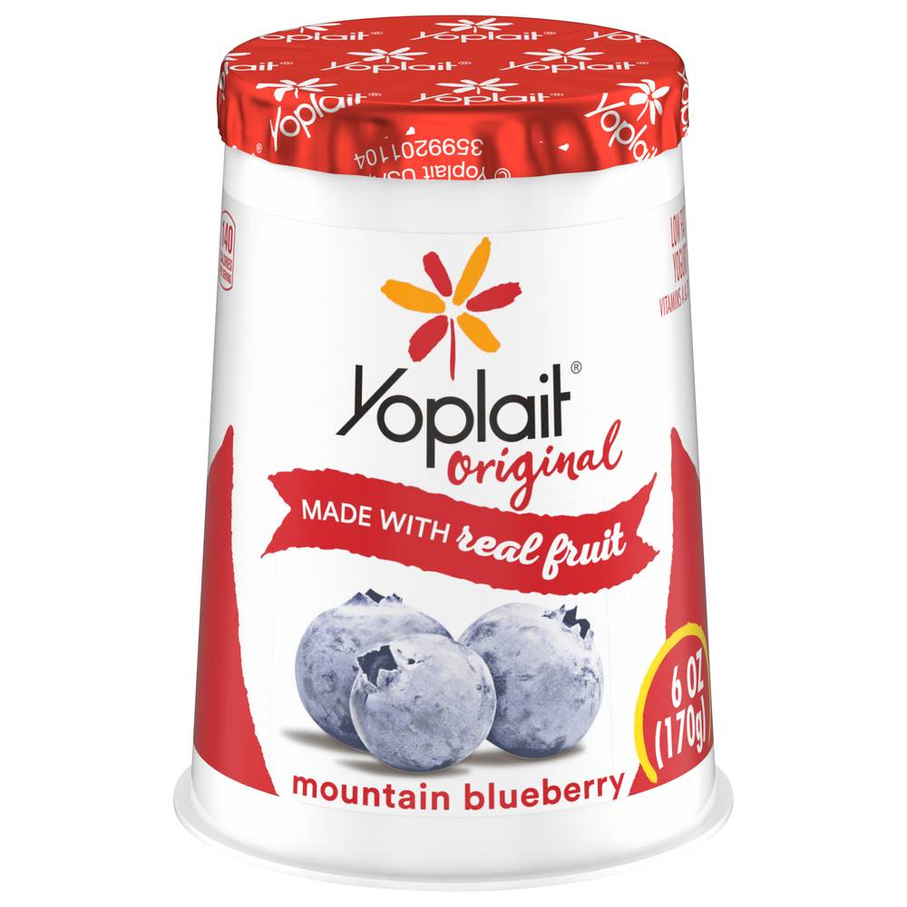 Yoplait Original Low Fat Mountain Blueberry Yogurt