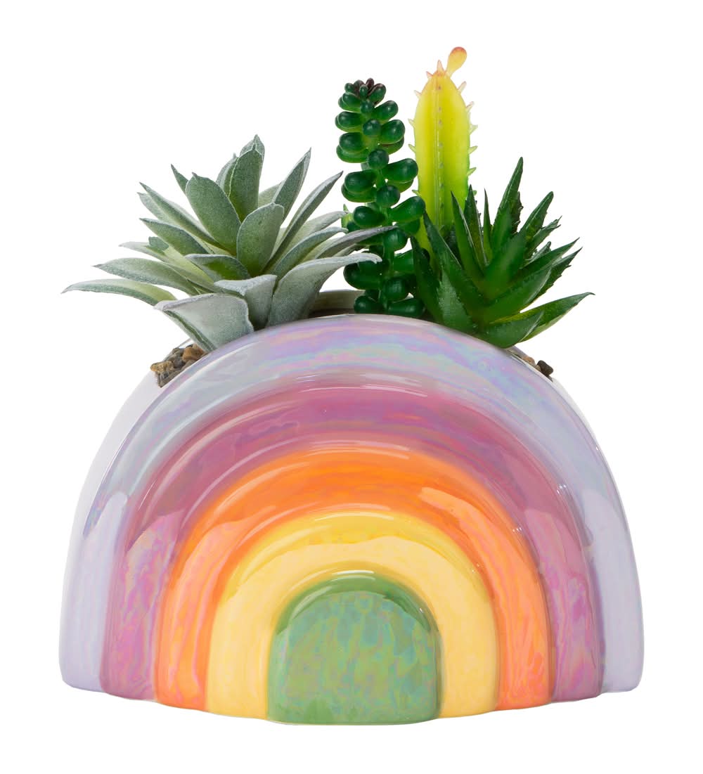 Rainbow Ceramic Faux Plant 5.9in x 6.5in