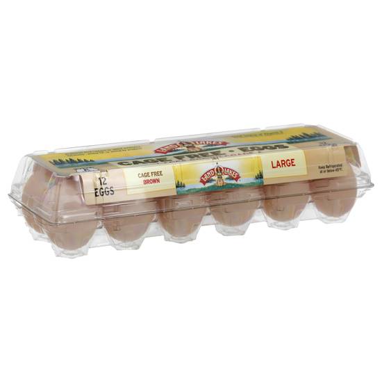 Land O'lakes Cage Free Large Brown Eggs (12 ct)
