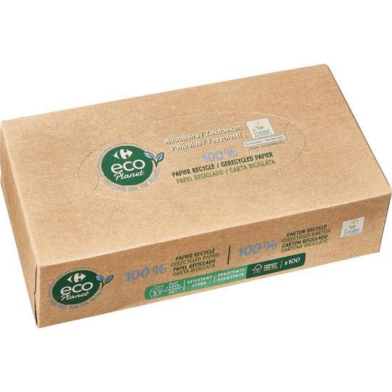 Carrefour Eco Planet - Mouchoirs (100)