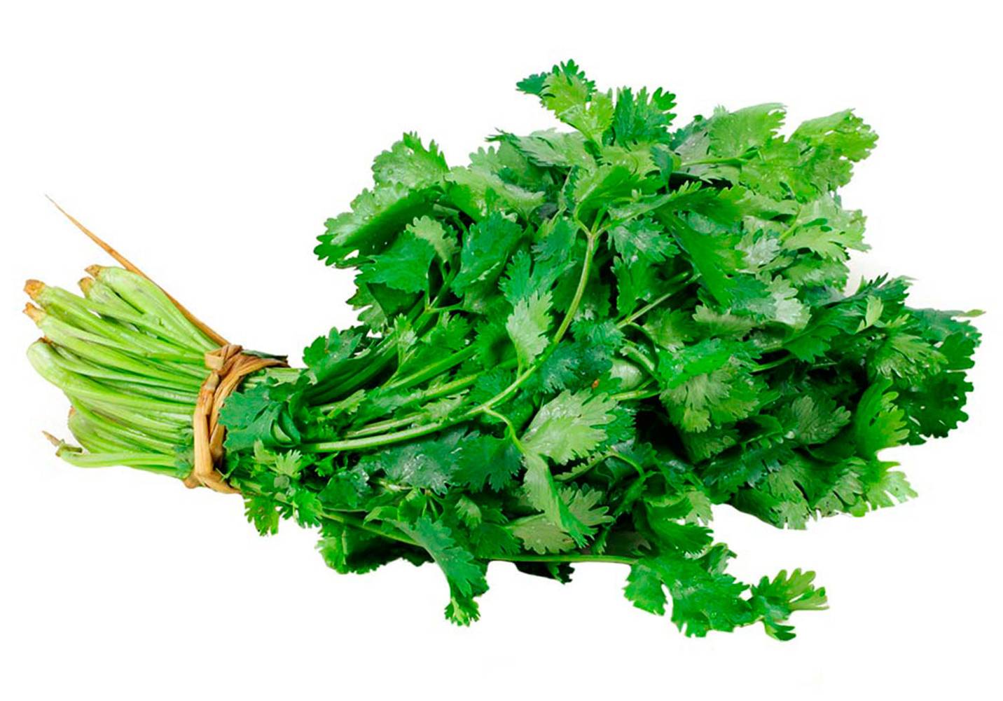 Cilantro (peso aprox: 120gr)