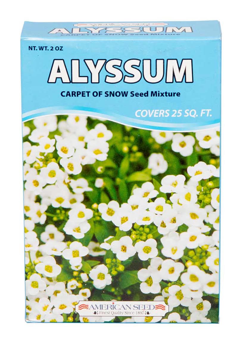 American Seed Border Mix Assorted