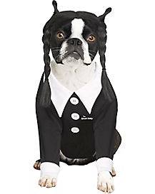 Wednesday Addams Pet Costume - The Addams Family (Pet Small)