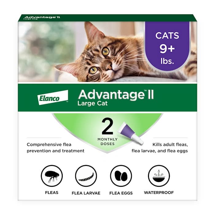 Advantage II Vet-Recommended Flea Treatment & Prevention for Large Cats, Count of 2