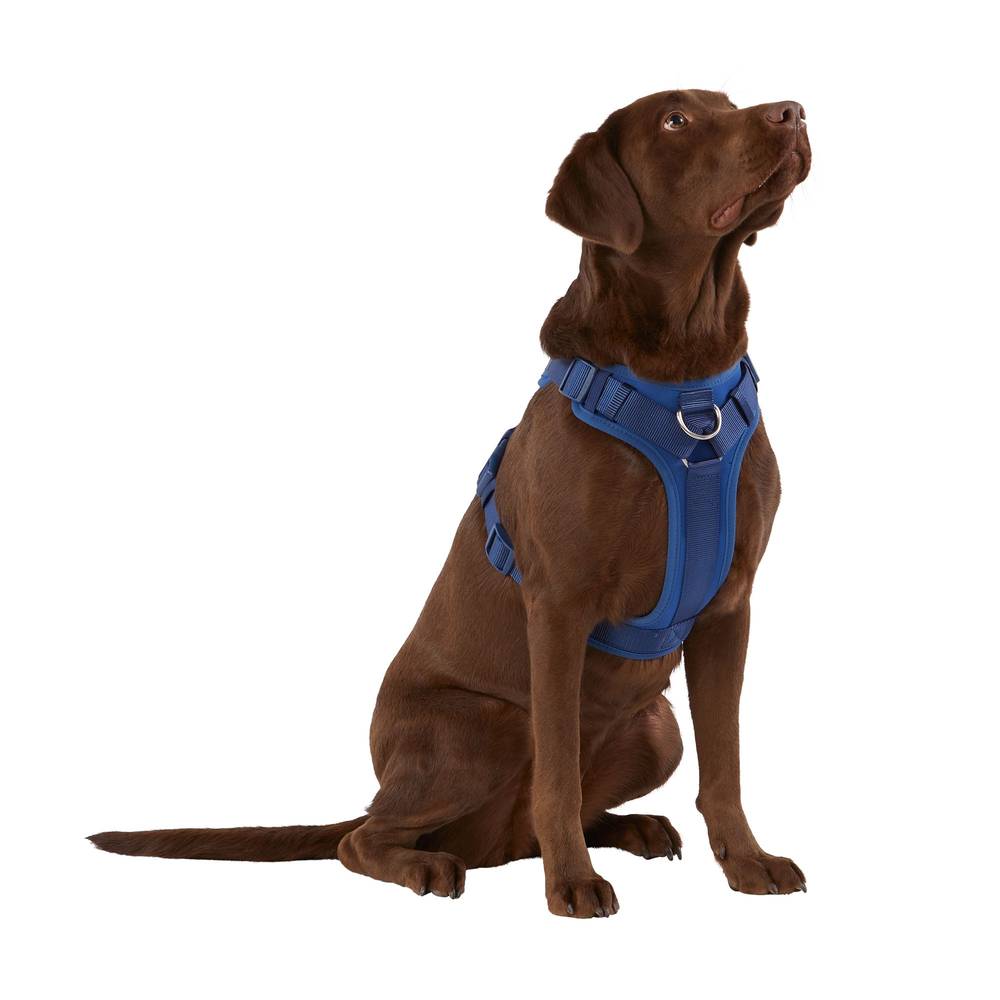 Top Paw® Neoprene Comfort Dog Harness (Color: Navy, Size: Large)