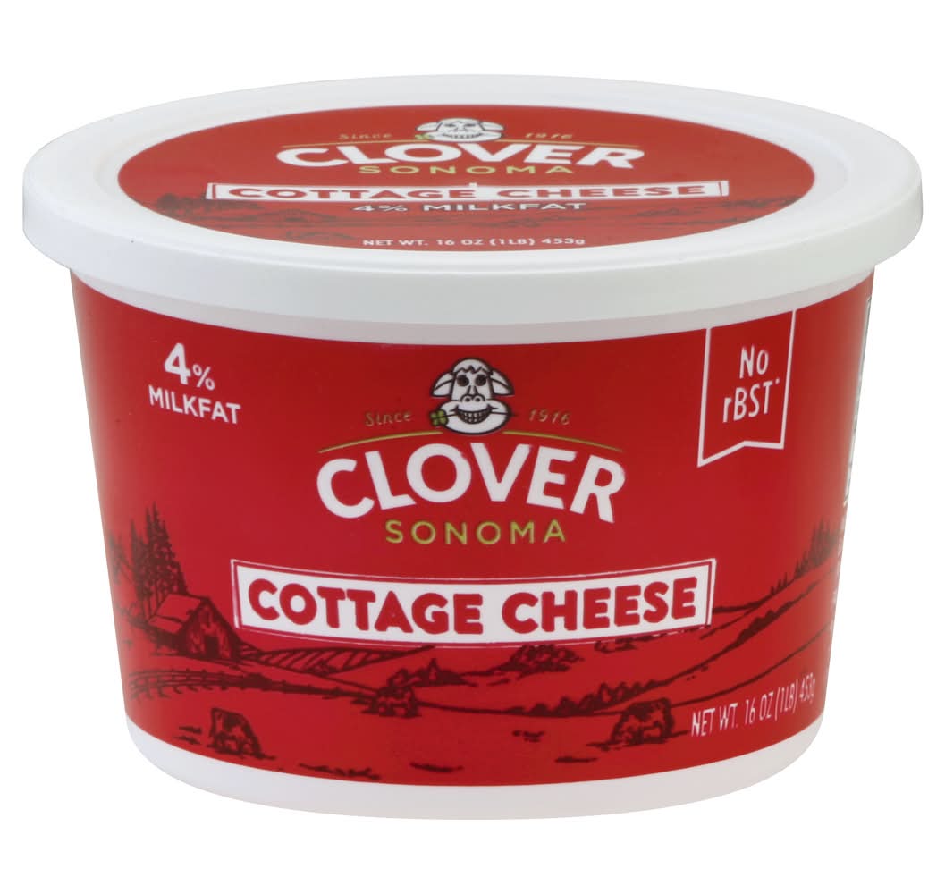 Clover Cottage Cheese (16 oz)