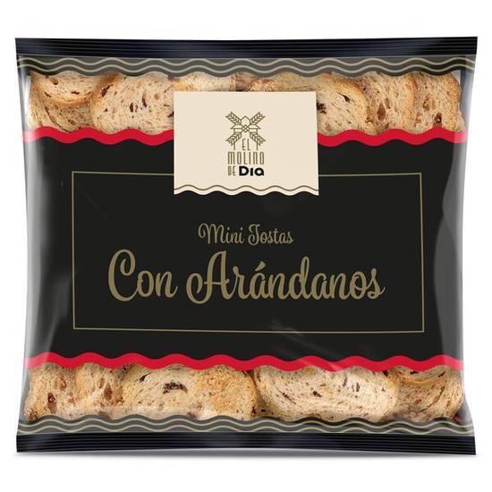 Mini Tostas con Arándanos El Molino de Día en Bolsa (90 g)