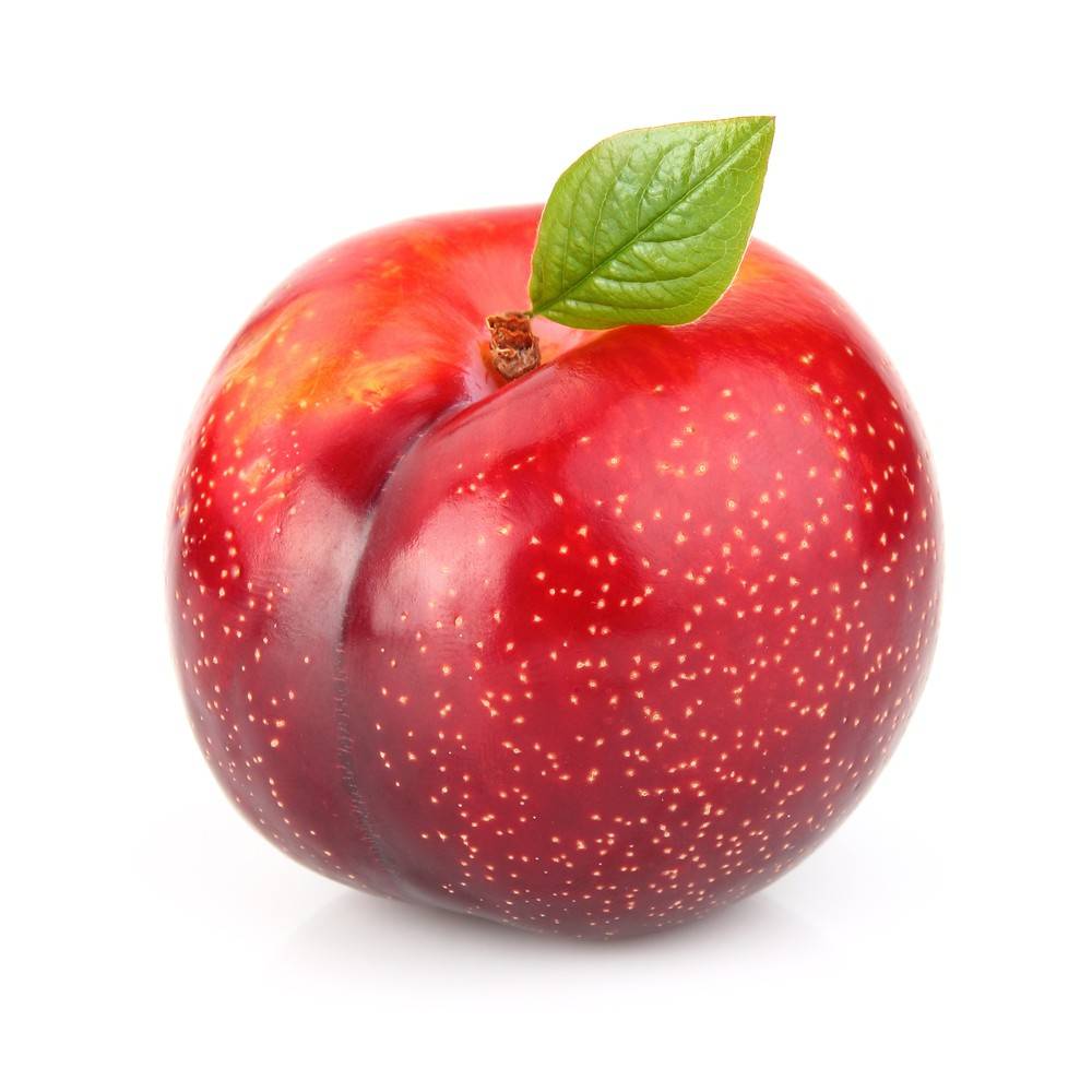 Small Red Plum
