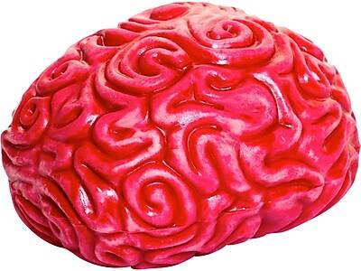 Keycraft Squidgy Brain Sensory Toy (red)