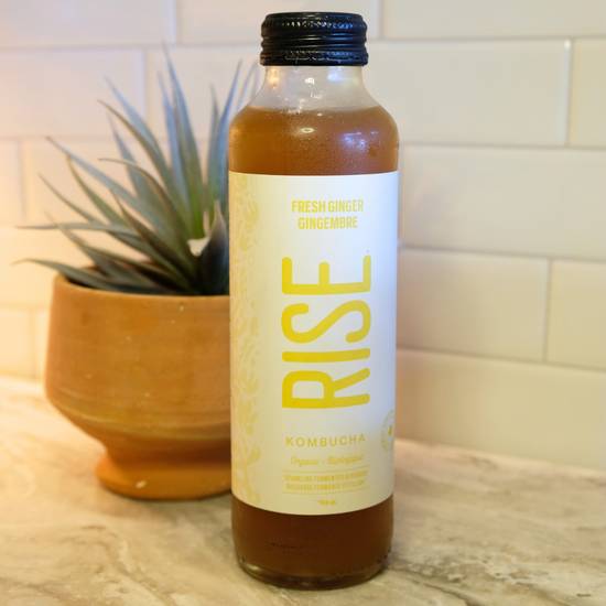Kombucha Gingembre