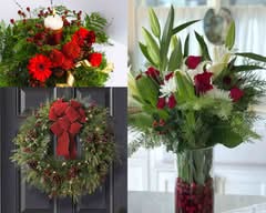 GIFT-Z WPB (3095 S Military Trl, 17)