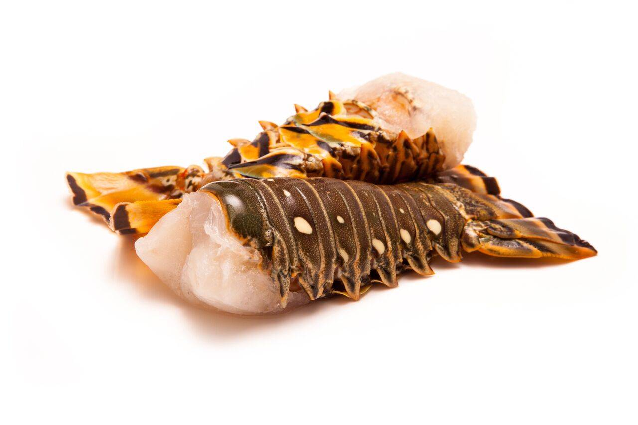Frozen Warm Water Lobster Tails - 8 oz, no STPP, 5 lb box (1 Unit per Case)