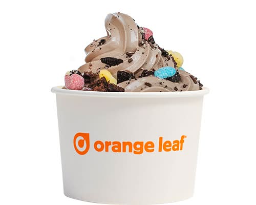 Large Cup of Yogurt
