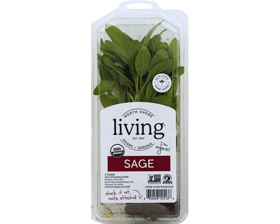 North Shore Living Herbs · Organic Sage (1 ct)