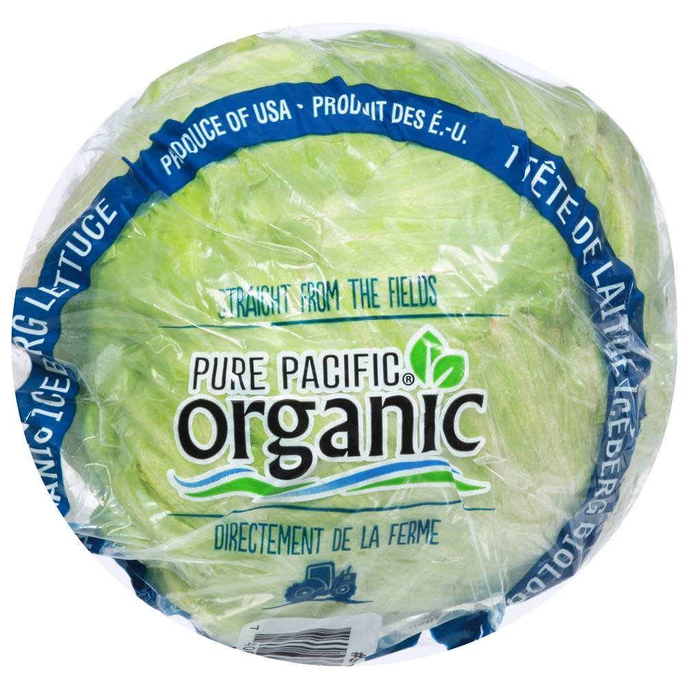 Organic Iceberg Lettuce