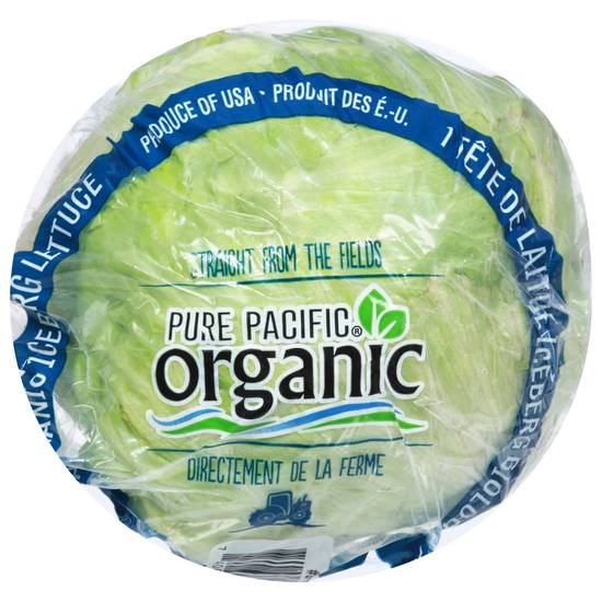 Pure Pacific Organic Iceberg Crisphead Lettuce