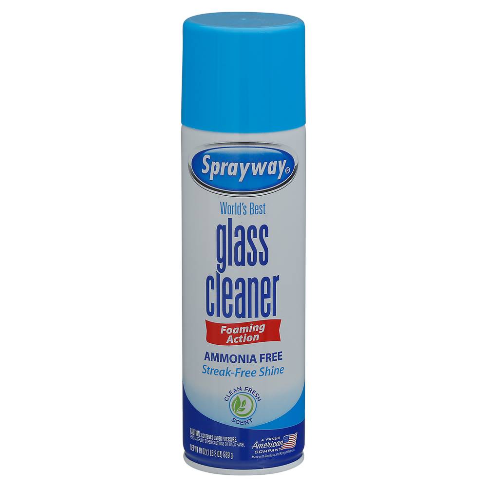 Sprayway Foaming Action Ammonia Free Glass Cleaner (19 oz)